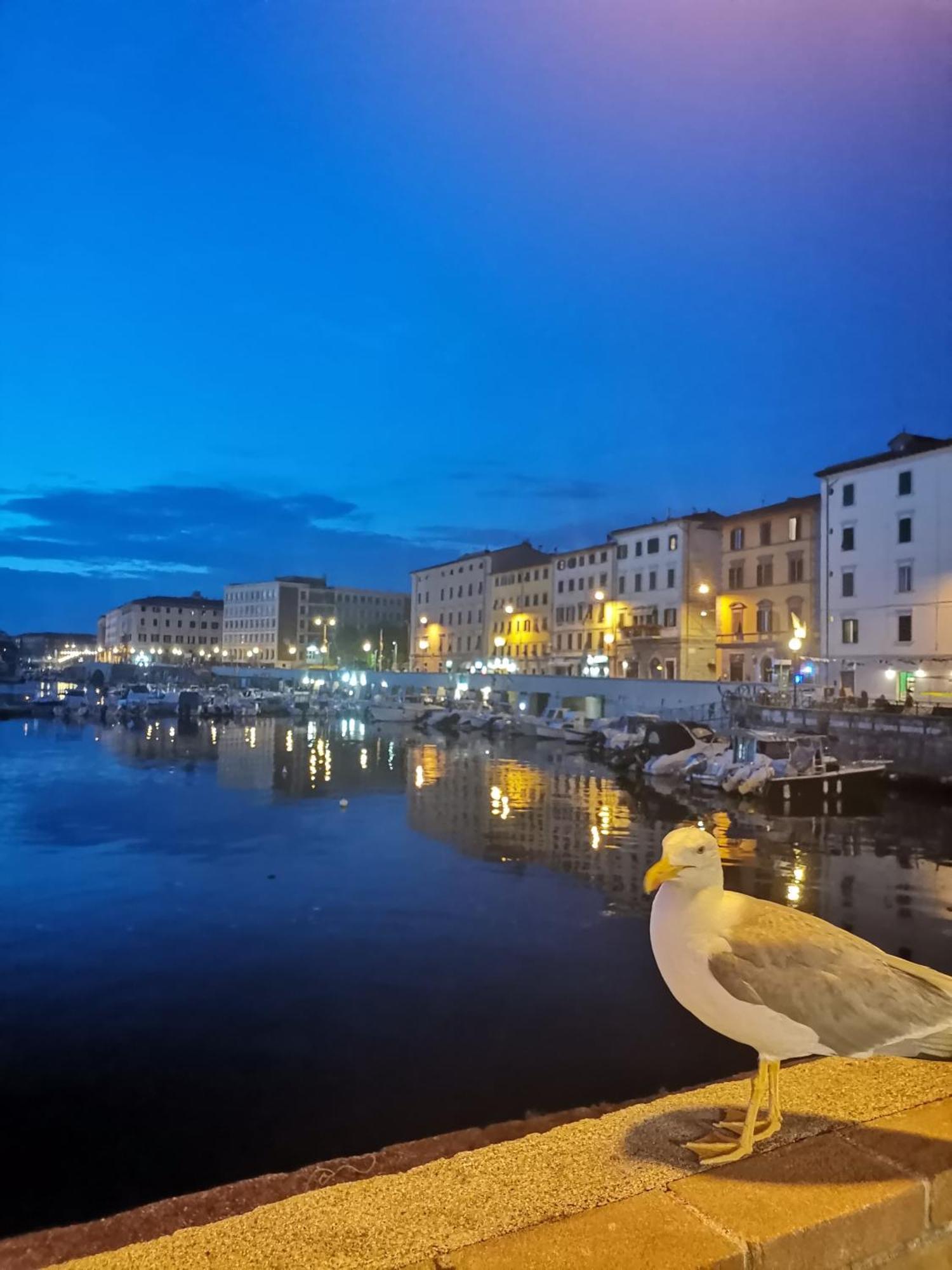 Apartamento Residenza Vittoria Livorno Exterior foto